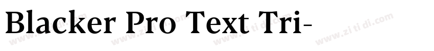 Blacker Pro Text Tri字体转换 Blacker Pro Text Tri字体转换